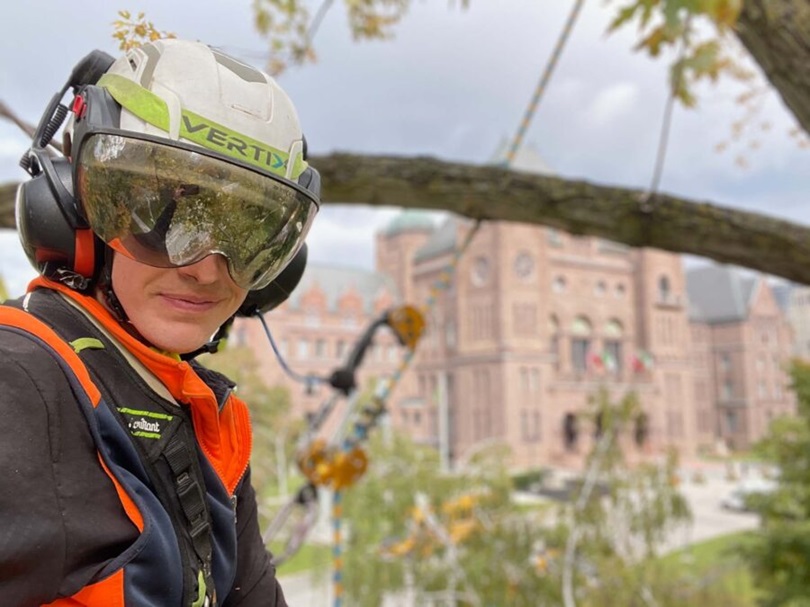 Best Tree Doctor in Toronto