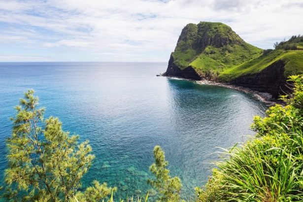 Discovering the Diverse Allure of Maui's Coastal Towns